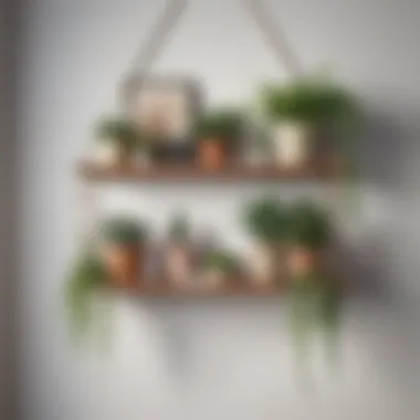 Elegant boho hanging shelf adorned with plants and decorative items