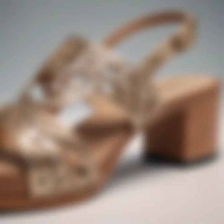 Close-up of an elegant low chunky heel sandal showcasing intricate design details.