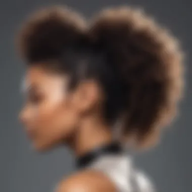 A close-up view of a beautifully styled ponytail afro, showcasing defined curls and volume.