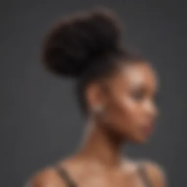 An elegant ponytail afro hairstyle suitable for a formal event, highlighting sleekness and sophistication.