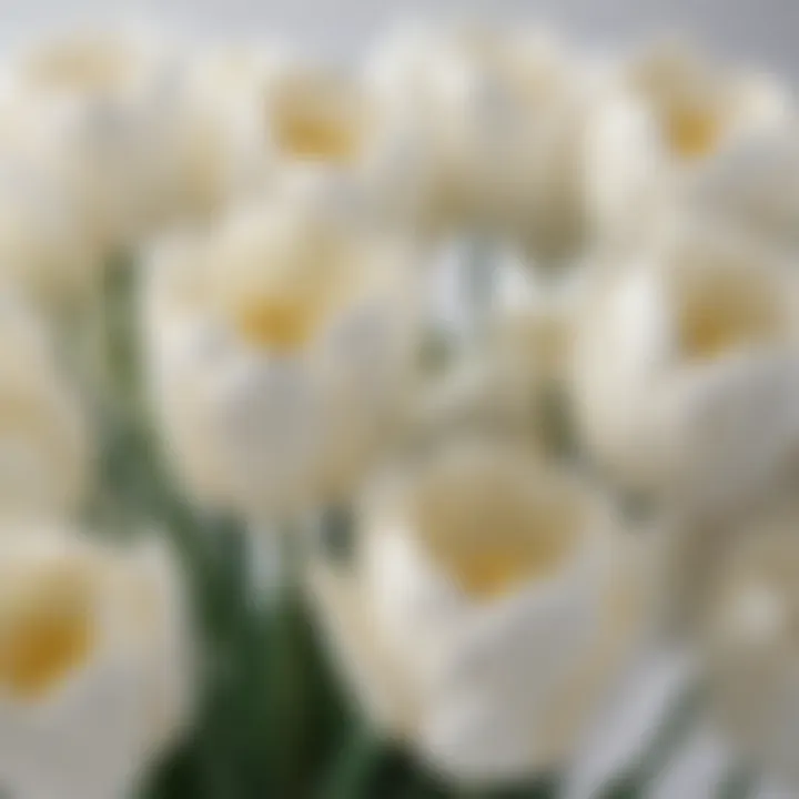 Close-up of intricately crafted white tulips showcasing craftsmanship