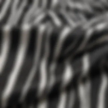 Close-up of zebra print fabric texture